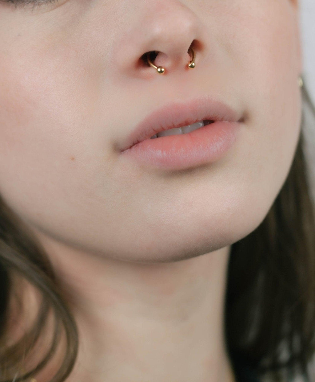 Magnetic Septum Ring